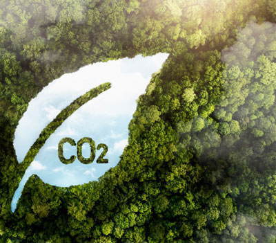 empresa carbono zero
