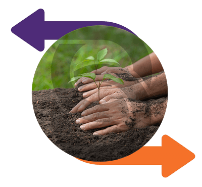 prolapack embalagem empresa sustentável